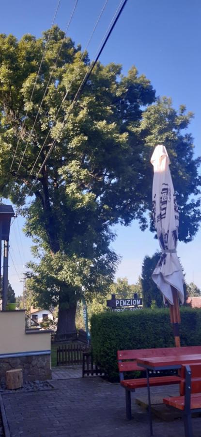 Penzion U Draci Skaly Ξενοδοχείο Svojse Εξωτερικό φωτογραφία